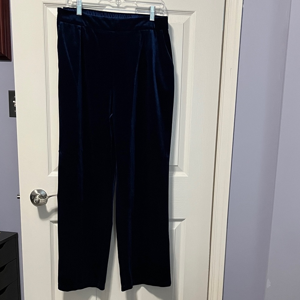 Women's Never Worn Velvety Blue Trousers Pants with Pockets Elastic Waist
